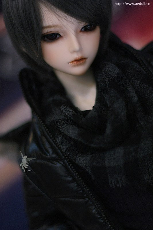 Evan | Preorder | DOLL