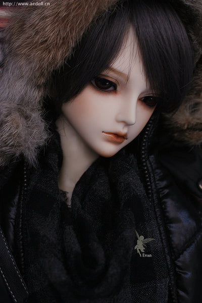 Evan | Preorder | DOLL