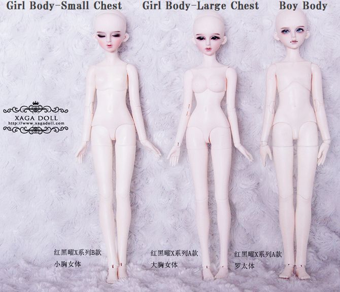 Emily(X series) | Preorder | DOLL