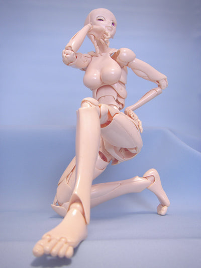 SFBT-3 Special Full-Action Body Type | Item in Stock | DOLL
