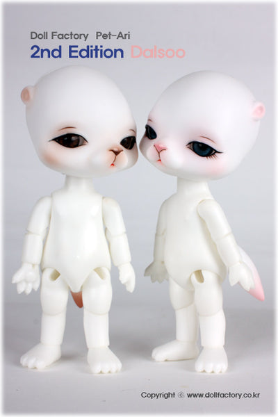 2nd Edition Dalsoo | Preorder | DOLL