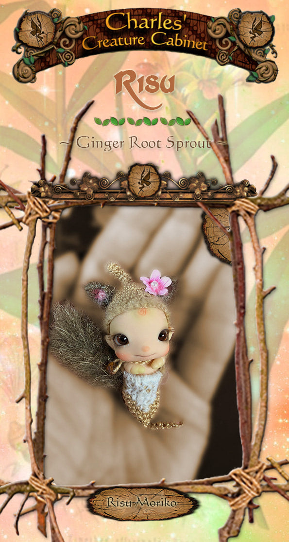 Risu Moriko ~ GingerRoot Sprout Grub 4,5cm ~ "Exclusive 10LE" Micro BJD [Limited Quantity] | Preorder | DOLL