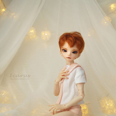 ICARUS (Basic set) | Preorder | DOLL