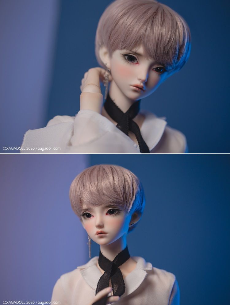 Macula COSMOS Fullset | Preorder | DOLL