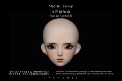 Macula COSMOS Fullset | Preorder | DOLL