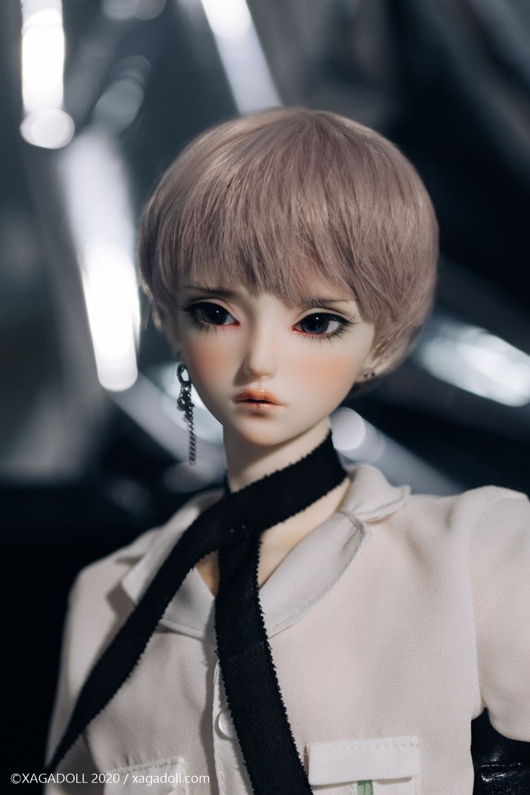 Macula COSMOS Fullset | Preorder | DOLL