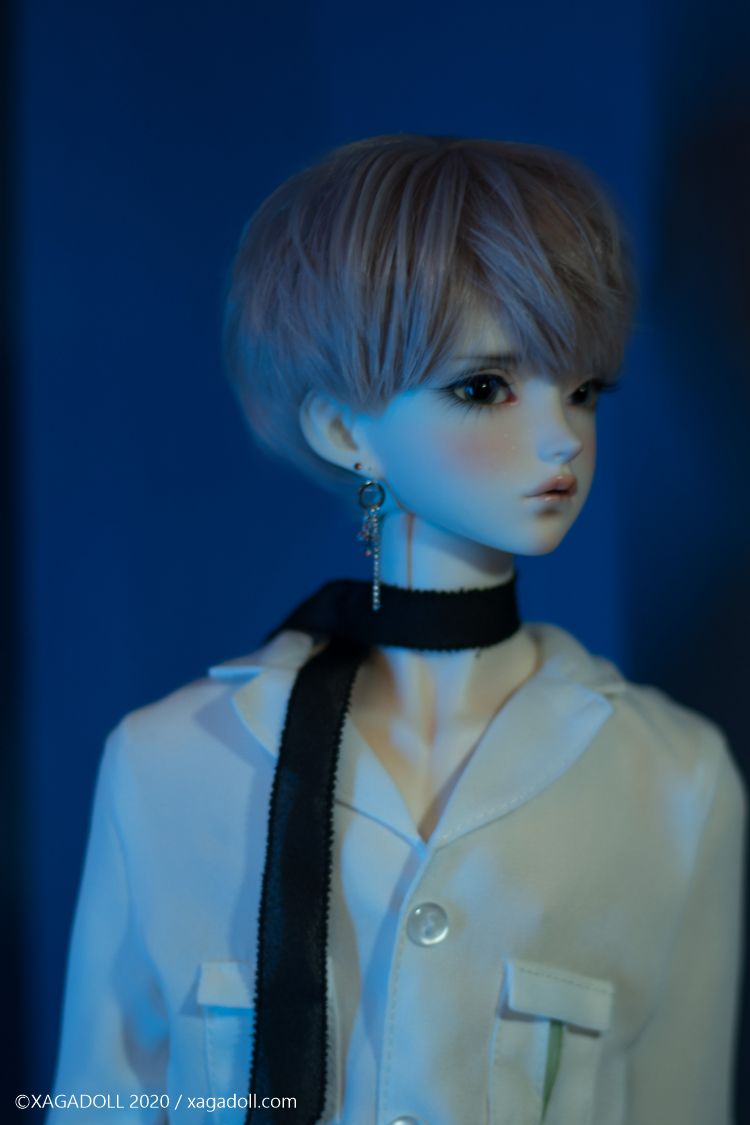 Macula COSMOS Fullset | Preorder | DOLL