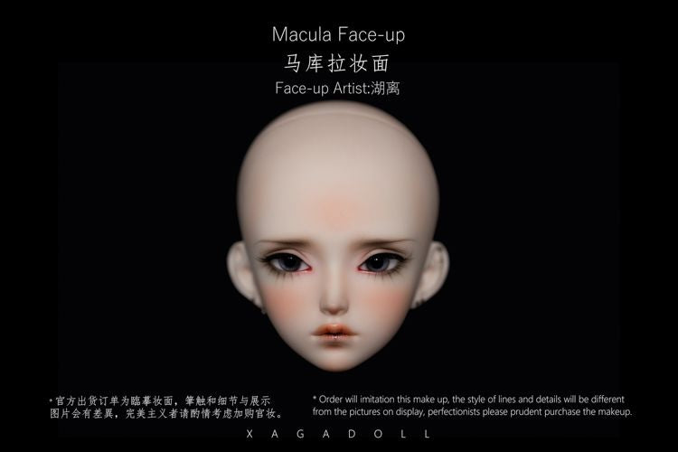 Macula COSMOS | Preorder | DOLL