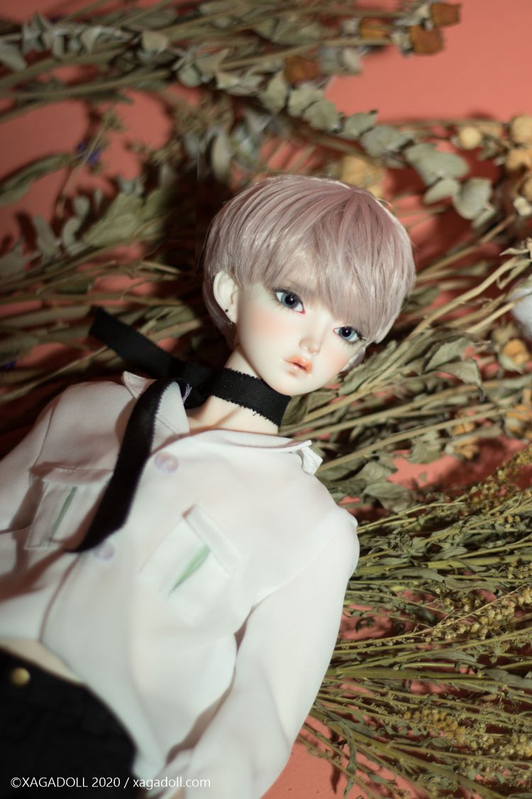 Macula COSMOS | Preorder | DOLL