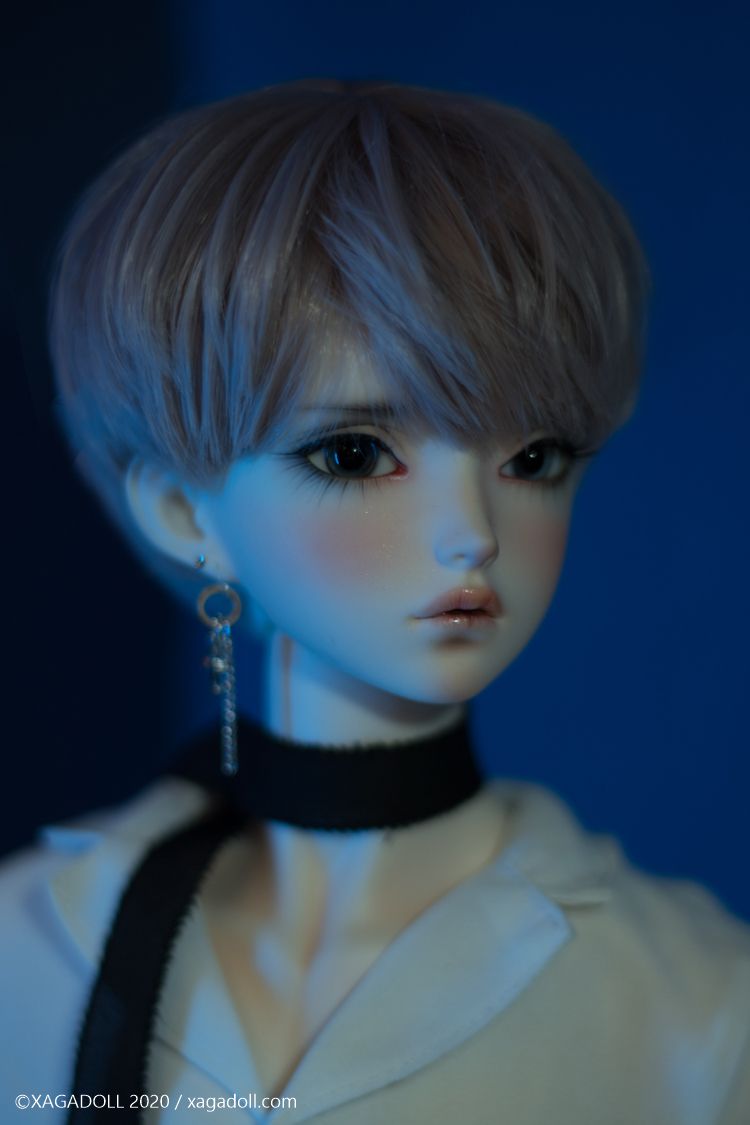 Macula COSMOS | Preorder | DOLL