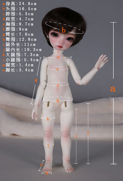 B6-10 Boy Body | Preorder | PARTS