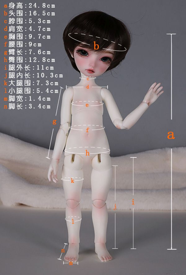 B6-10 Boy Body | Preorder | PARTS