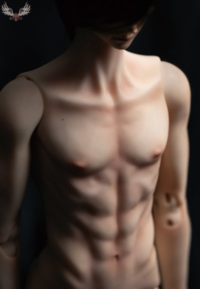 Elite Male Single Torso Body | Preorder | PARTS