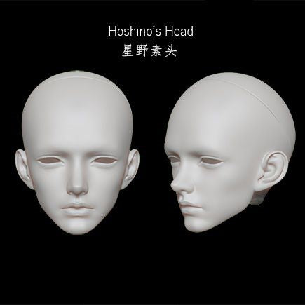 Hoshino X-3-014 | Preorder | DOLL
