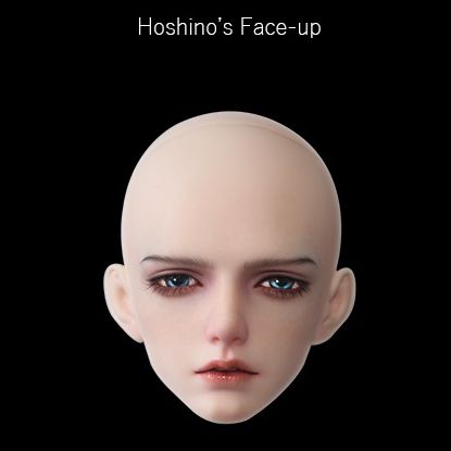 Hoshino X-3-014 | Preorder | DOLL
