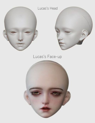 Lucas | Preorder | DOLL