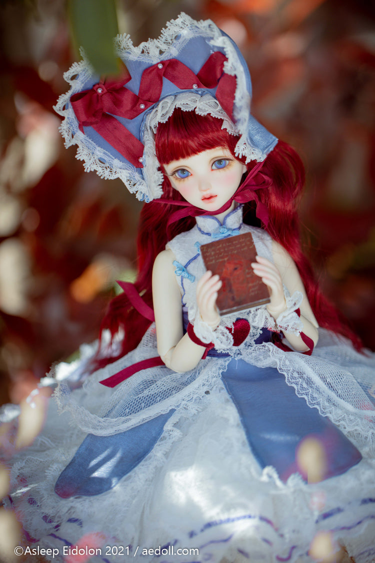 Blueberry 2020 Fullset | Preorder | DOLL