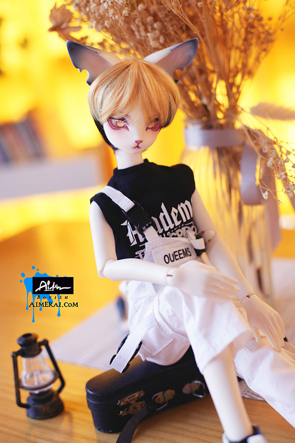 Aiden - Off Duty ver. Fullset | Preorder | DOLL