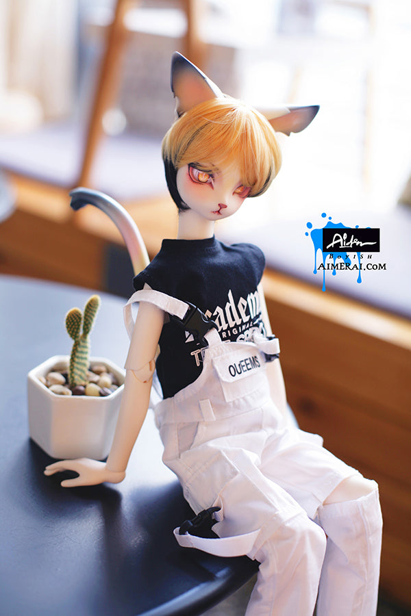 Aiden - Off Duty ver. Fullset | Preorder | DOLL