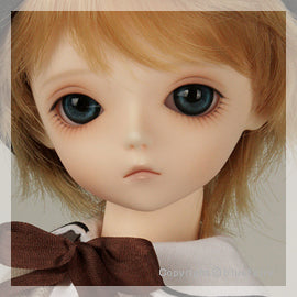 Choice SF Paul [Limited Time] | Preorder | DOLL