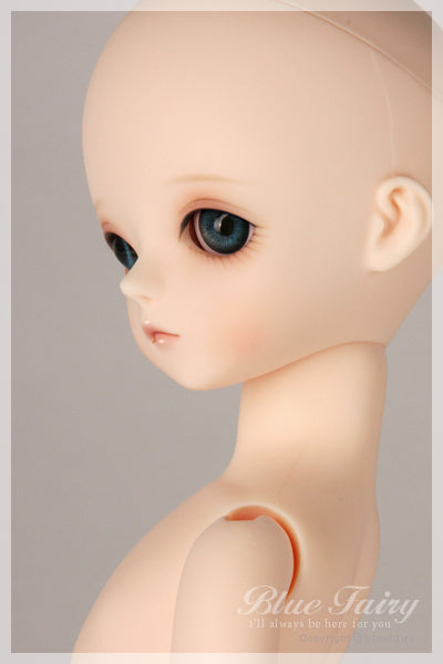 Choice SF Paul [Limited Time] | Preorder | DOLL