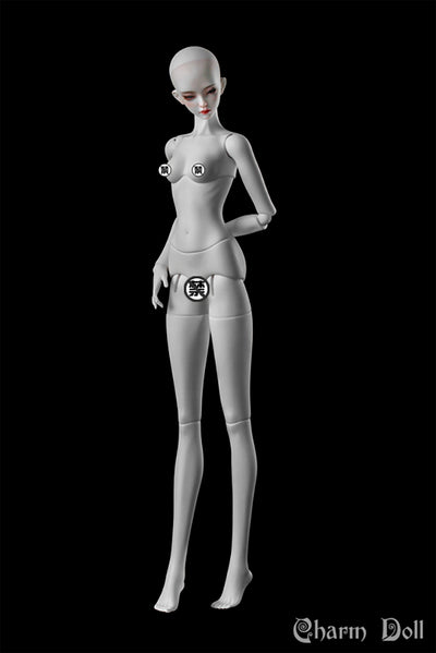 66 Female XS Chest Parts | Preorder | PARTS