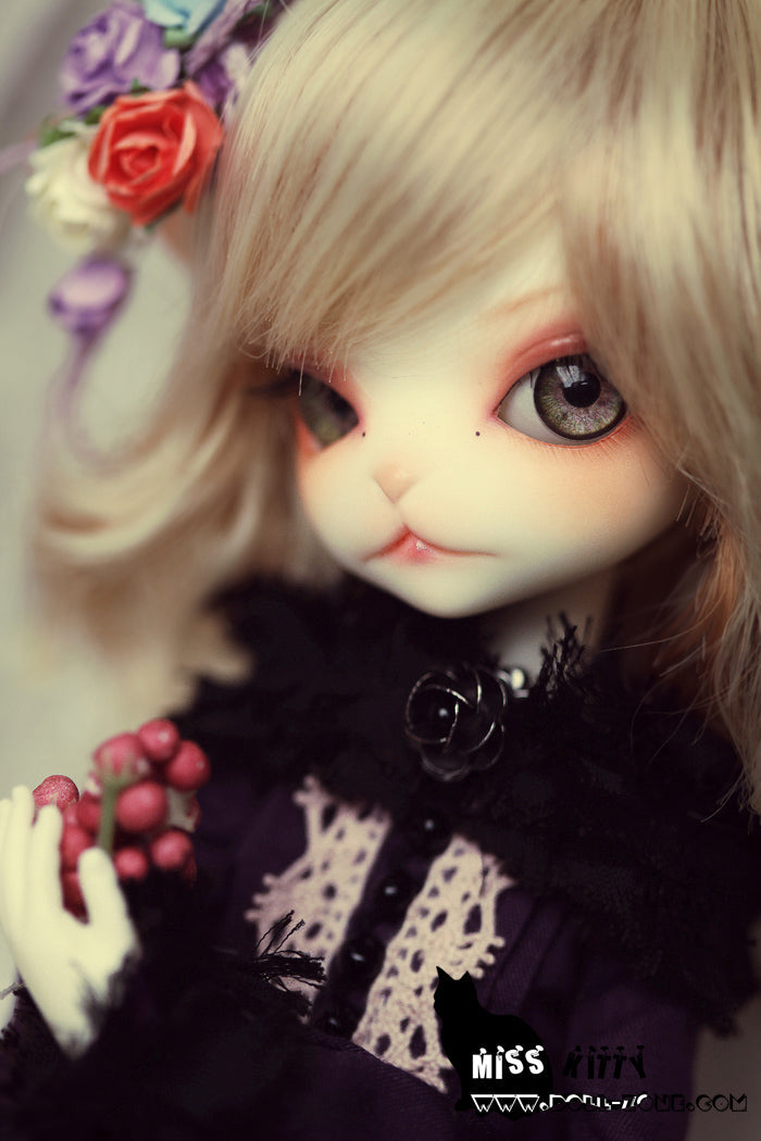 Miss Kitty | Preorder | DOLL