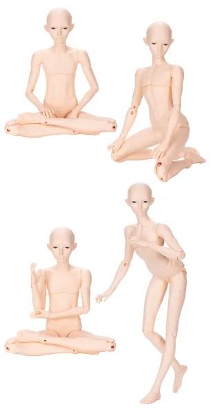 FeePle60 Motion (2022 Release) basic | Preorder | DOLL