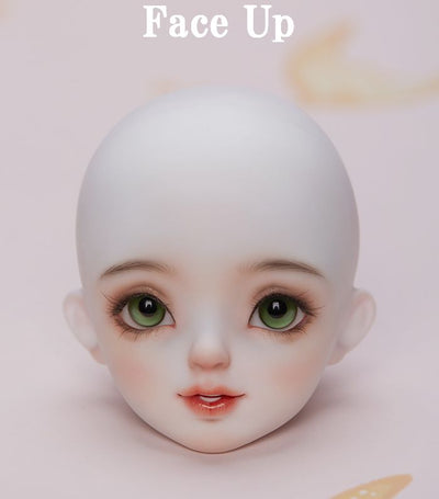 Alita Fullset [Limited Quantity] | Preorder | DOLL