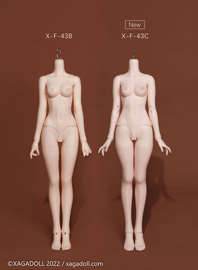 1/4 43cm Girl Body (X-F-43C) | Preorder | PARTS