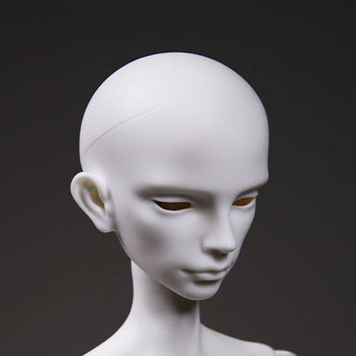 Sylves Human Ver. Head | Preorder | PARTS