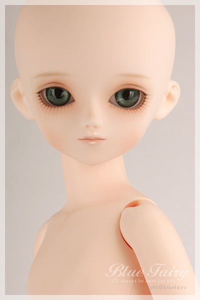 Choice SF Paul [Limited Time] | Preorder | DOLL