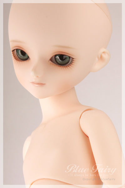 Choice SF Paul [Limited Time] | Preorder | DOLL