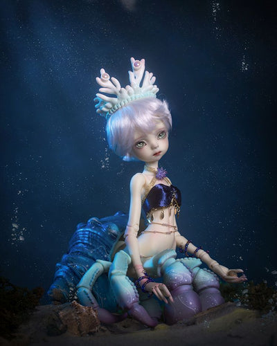 Beacher Fullset | Item in Stock | DOLL (Free Shipping)