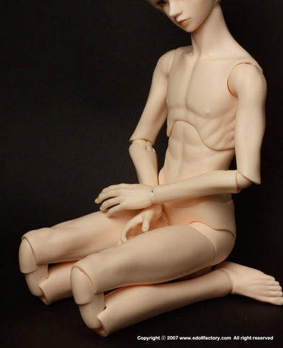 Senior-ari Boy body parts | Preorder | PARTS